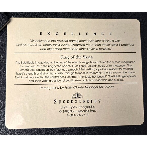 Excellence King Of The Skies Eagle Framed Photo Art Frank Oberle Photography - Picture 9 of 13